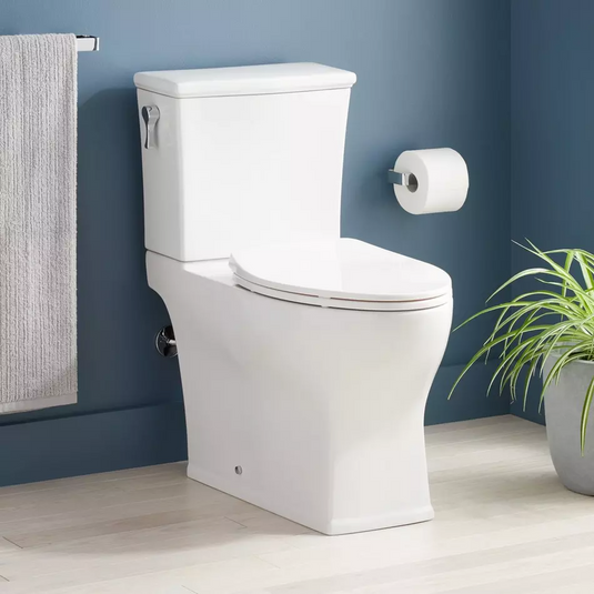Carraway Two-Piece Skirted Elongated Toilet - ADA Compliant