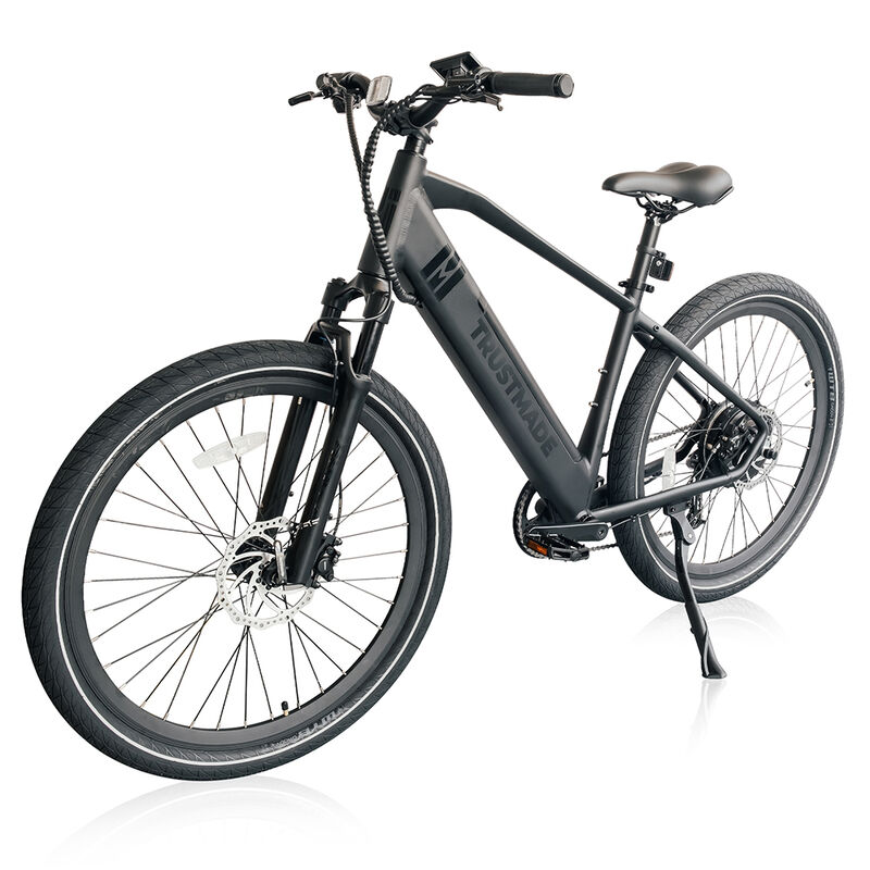 Load image into Gallery viewer, 743995 Limited Series Electric Bicycle
