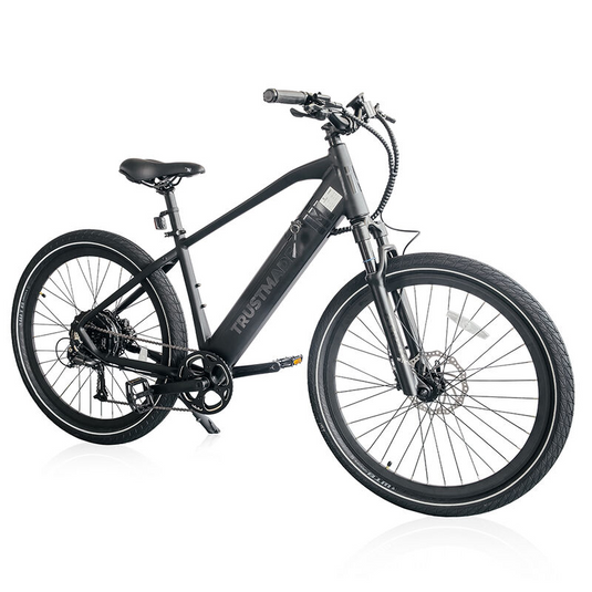 743995 Limited Series Electric Bicycle